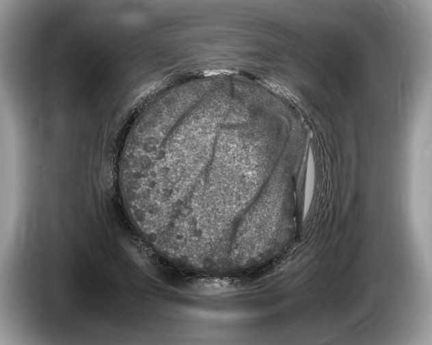 X0000086280687200704262036