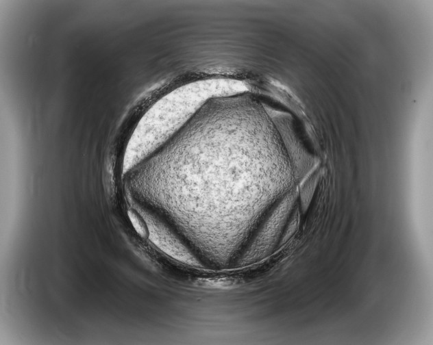 X0000086280688200704262036