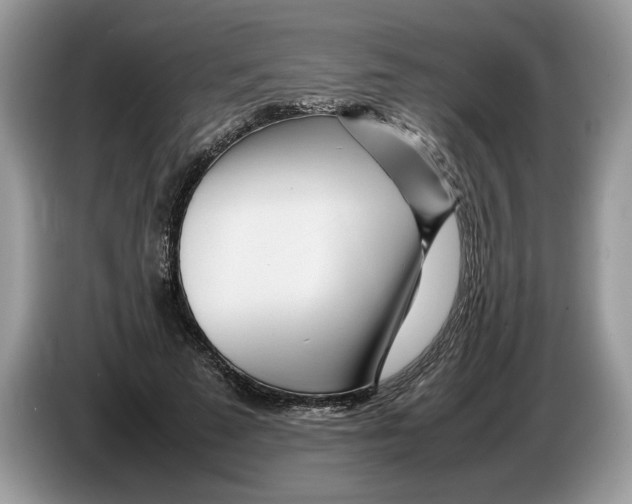 X0000086280689200704262036