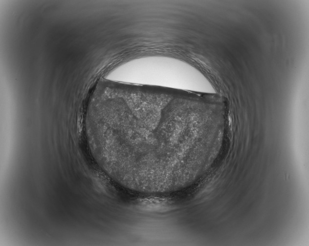 X0000086280691200704262036
