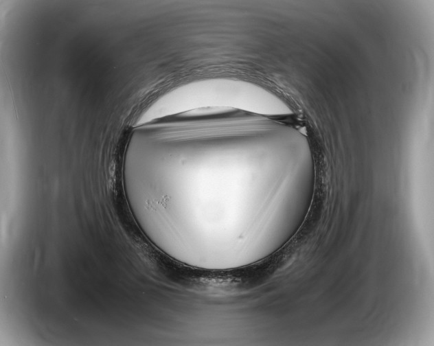 X0000086280693200704262036