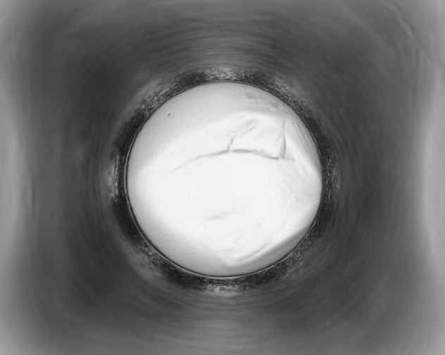 X0000086280694200704262036