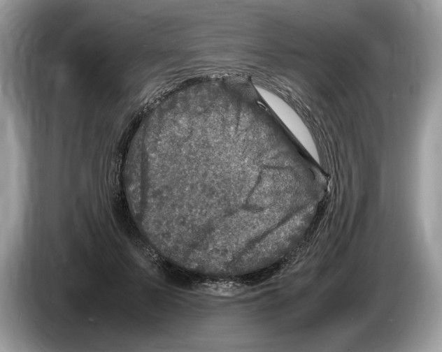 X0000086280695200704262036