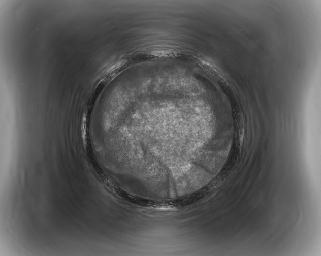 X0000086280696200704262036