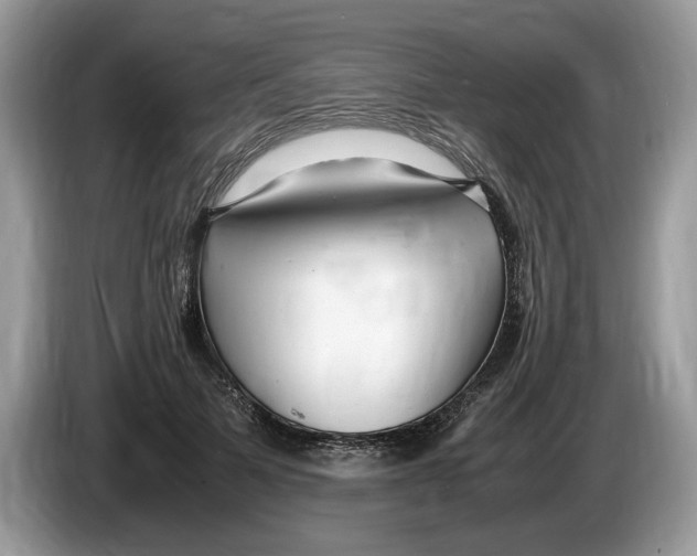 X0000086280697200704262036