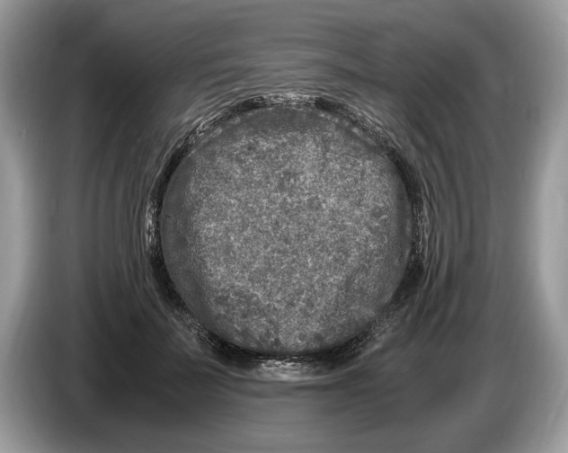 X0000086280699200704262036