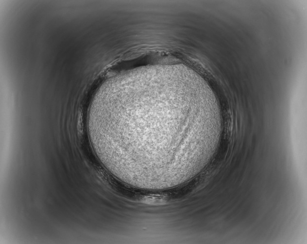 X0000086280700200704262036