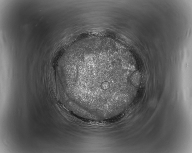 X0000086280703200704262036
