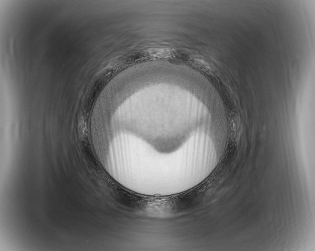X0000086280705200704262036