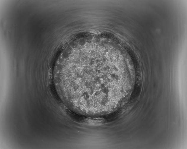 X0000086280707200704262036