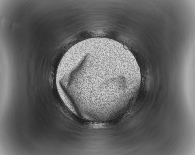 X0000086280710200704262036