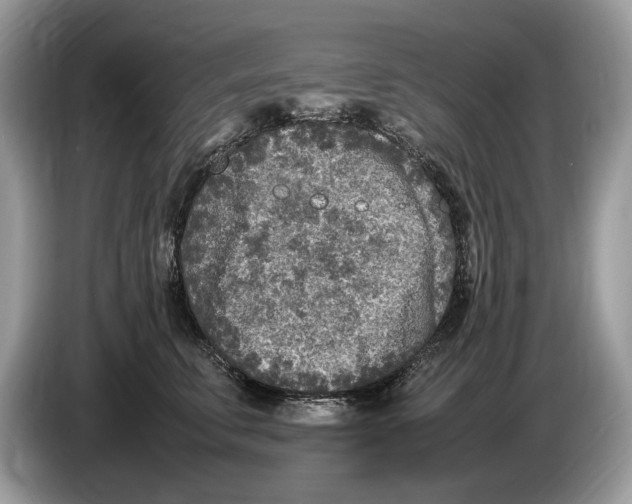 X0000086280711200704262036