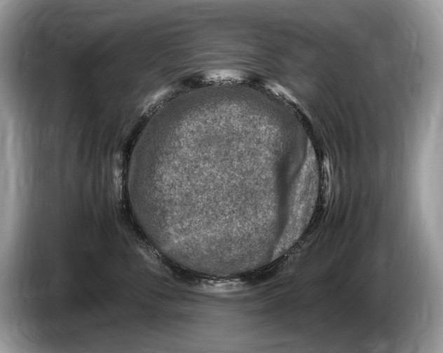 X0000086280716200704262036