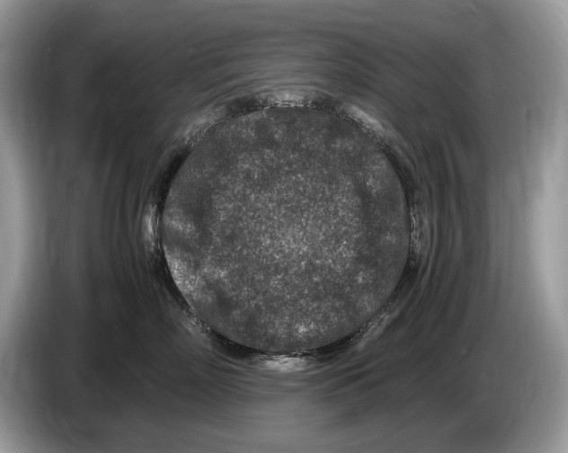X0000086280718200704262036