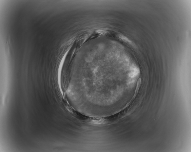 X0000086280720200704262036
