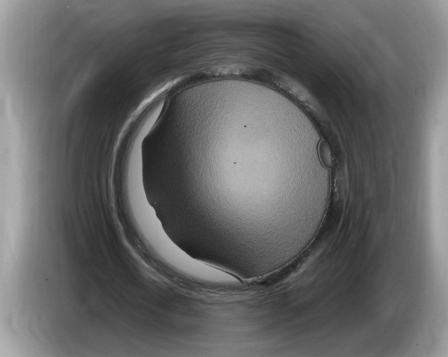 X0000086280722200704262035