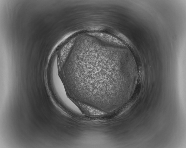 X0000086280726200704262035
