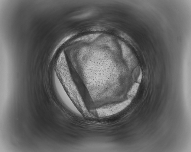 X0000086280727200704262035
