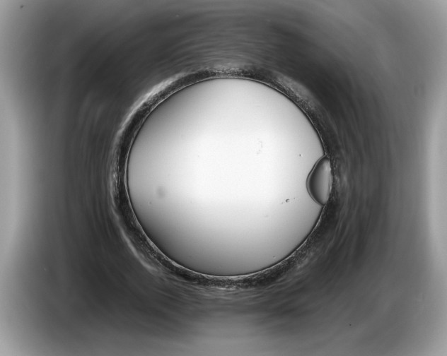 X0000086280728200704262035