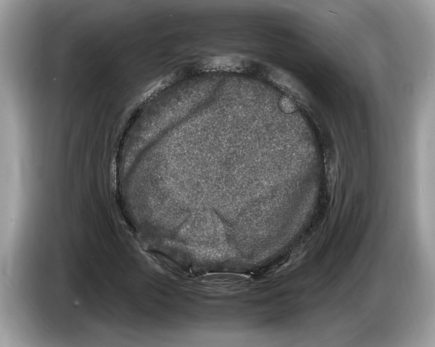 X0000086280729200704262036