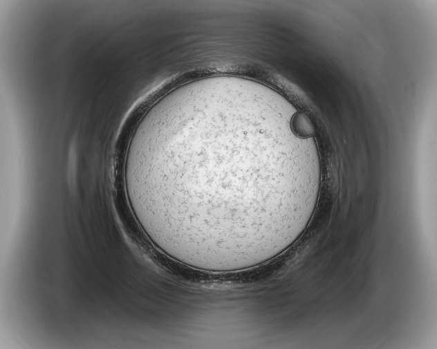 X0000086280730200704262036