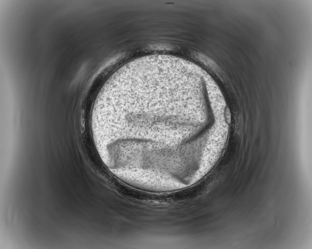 X0000086280731200704262036