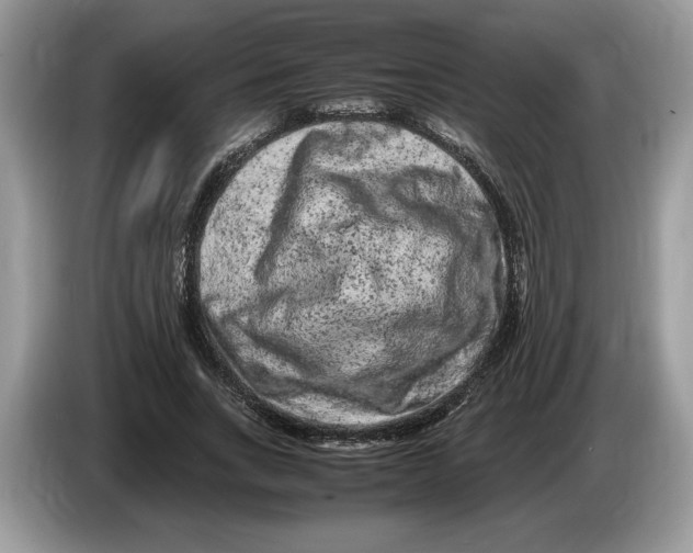 X0000086280735200704262036