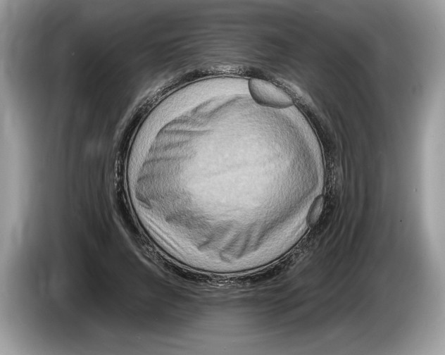 X0000086280736200704262036