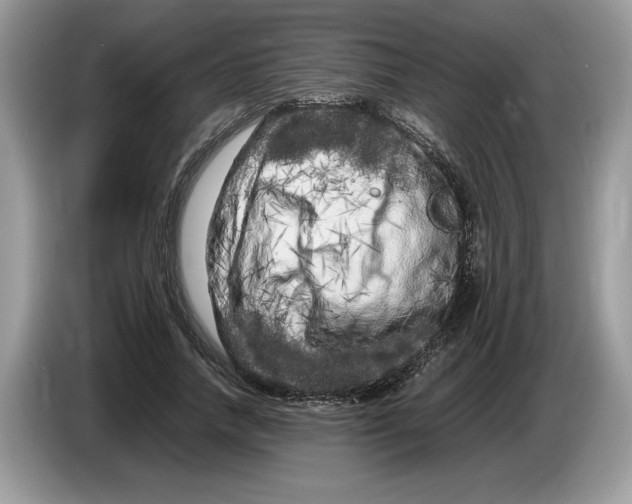 X0000086280738200704262036