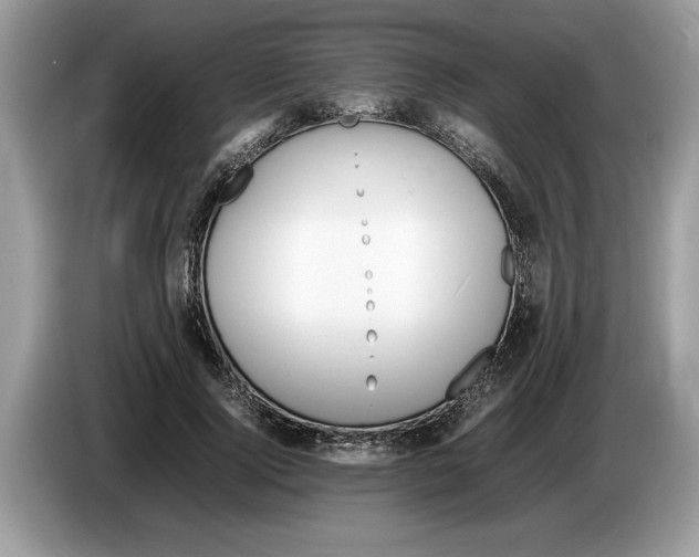 X0000086280740200704262036