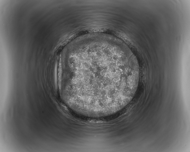X0000086280742200704262036