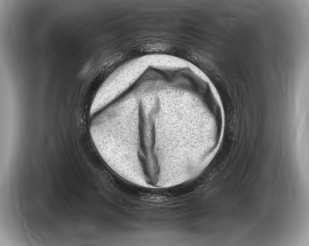 X0000086280743200704262036