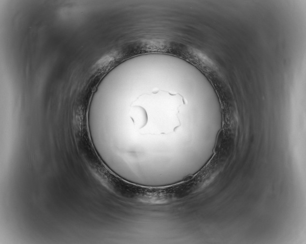 X0000086280744200704262036