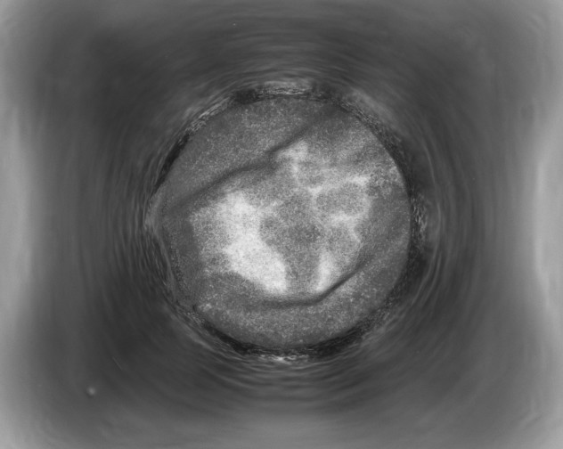 X0000086280745200704262036