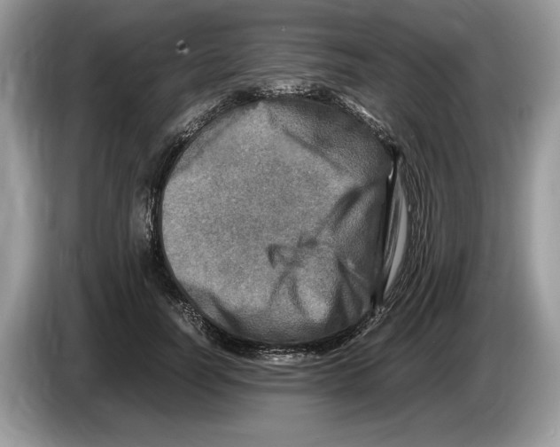 X0000086280746200704262036