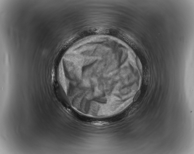 X0000086280748200704262036