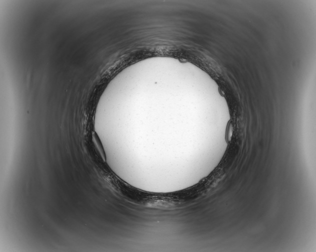 X0000086280750200704262036