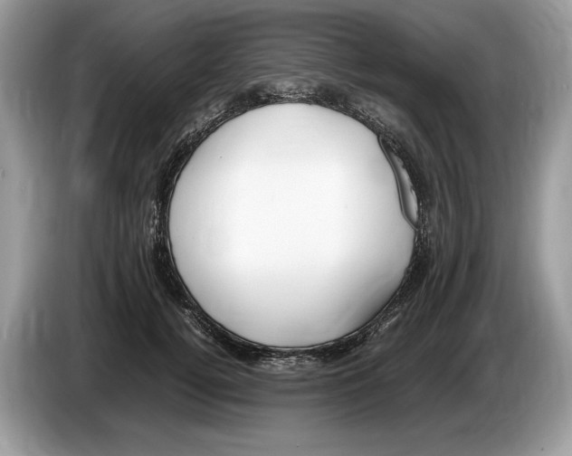 X0000086280752200704262036