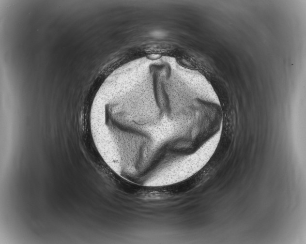 X0000086280755200704262036