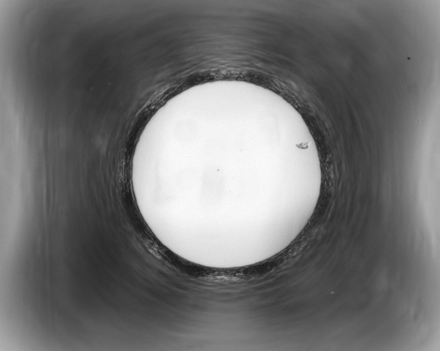 X0000086280756200704262036