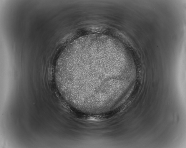 X0000086280757200704262036