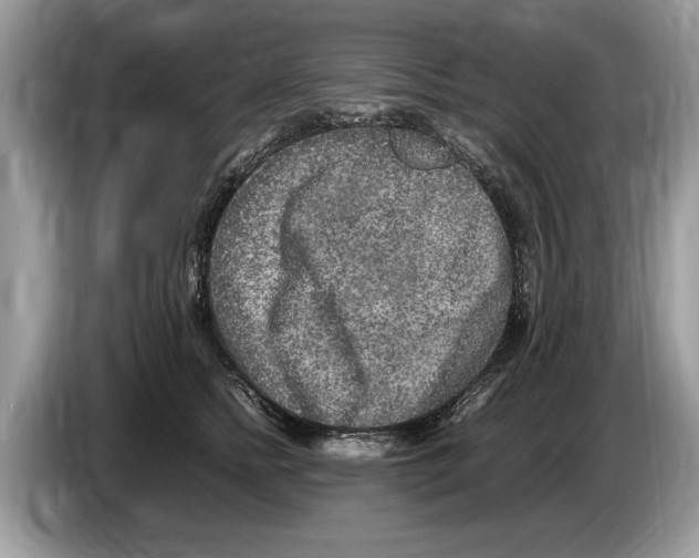 X0000086280758200704262036