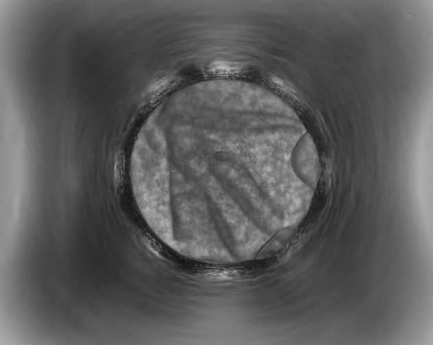 X0000086280760200704262036