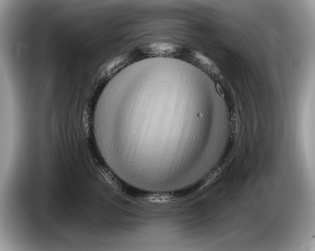 X0000086280762200704262036