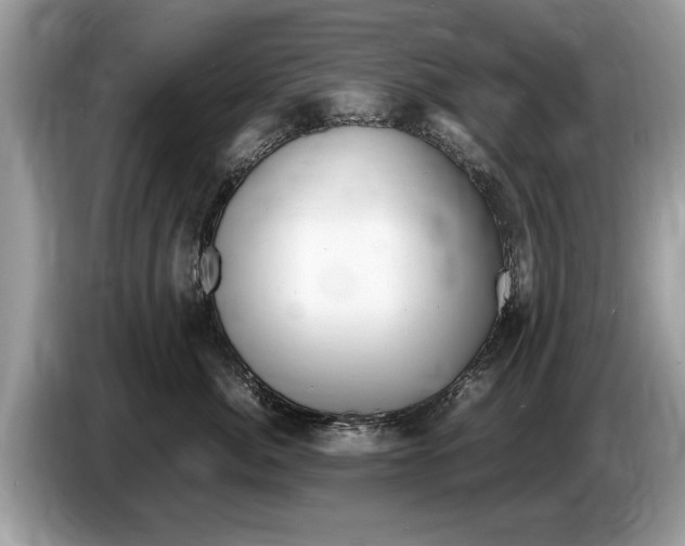 X0000086280764200704262036