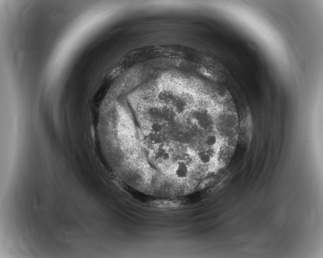 X0000086280765200704262036