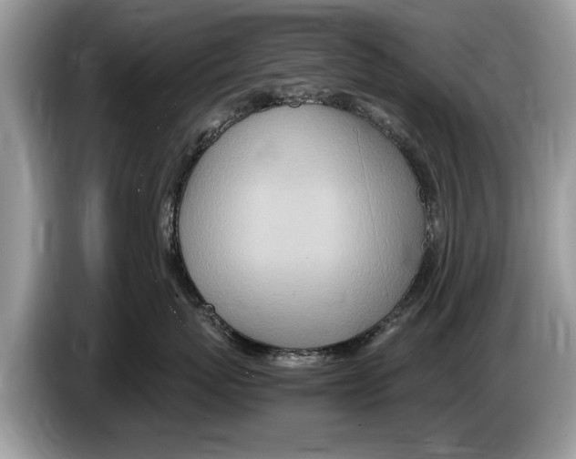 X0000086280767200704262036