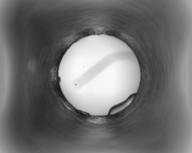 X0000086280768200704262036