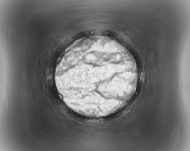 X0000086280771200704262035