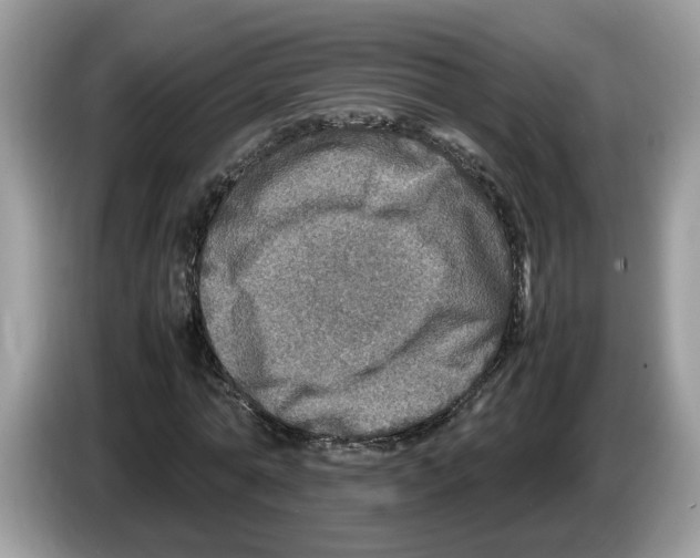 X0000086280774200704262035